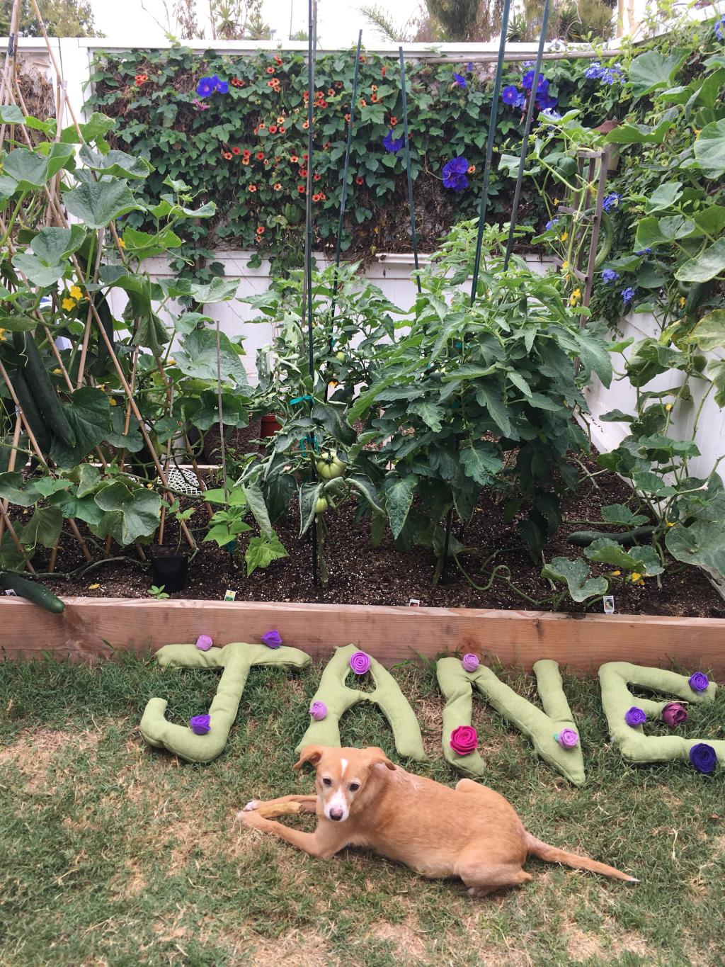 Austen Inspired Tea Cup Rattle&nbsp;DIY