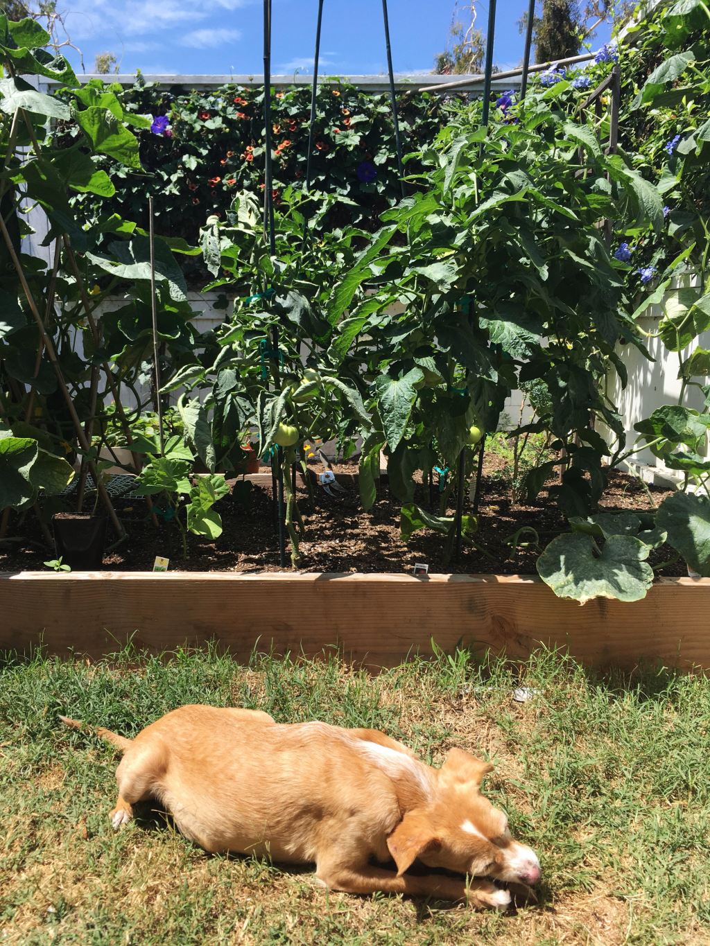 The Cucumber & A Bad&nbsp;Mood