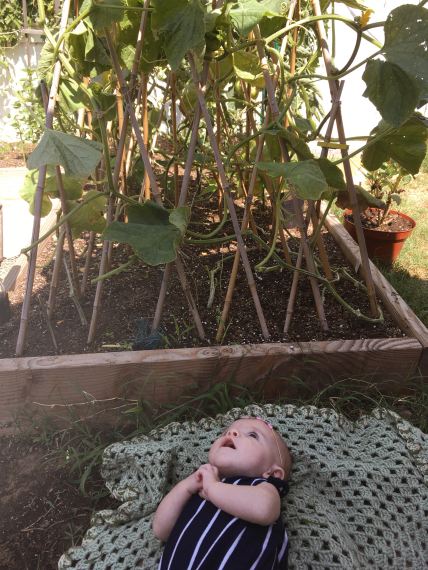 babygarden