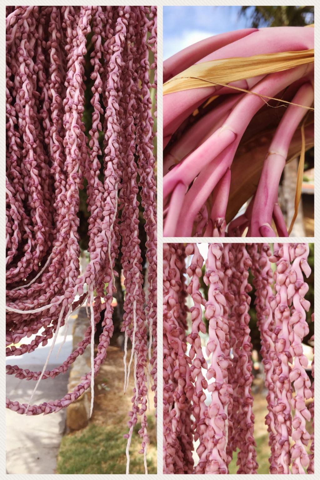 Why I Stopped Taking My&nbsp;Medication