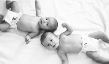 “Blueprint for Daylight” by Christine&nbsp;Kalafus