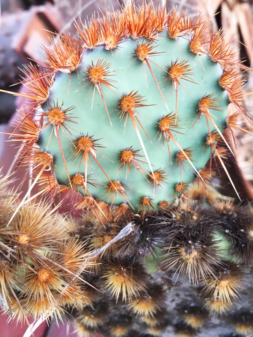 10 Ways To Cope Between Therapy&nbsp;Appointments