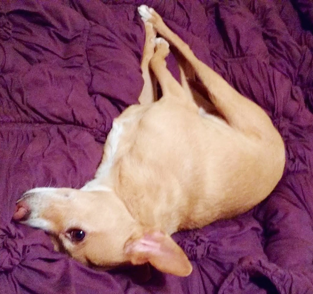 Rae – Sleep =&nbsp;Madness