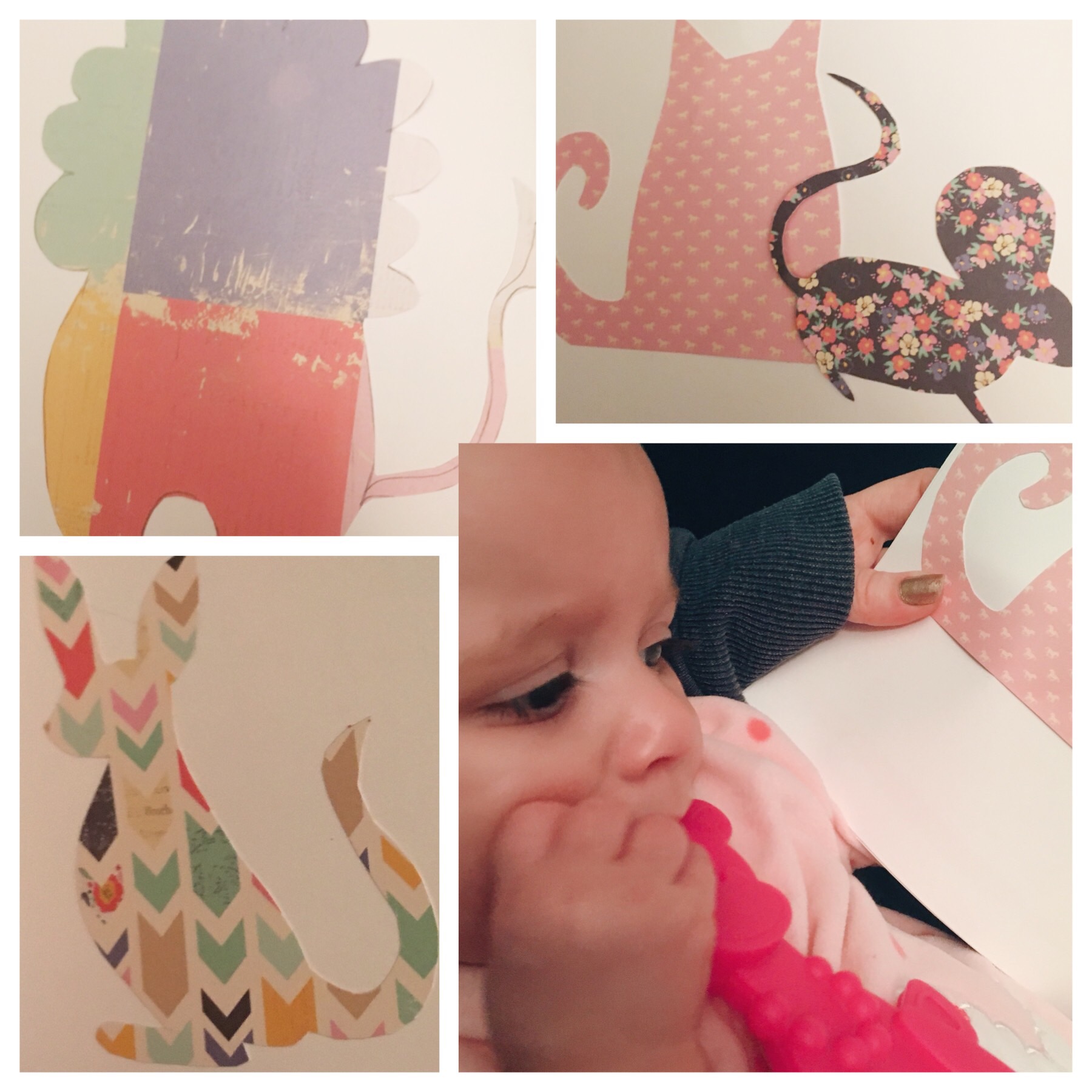 75FFA616-5B87-4BB7-96B1-5D7936413ED1