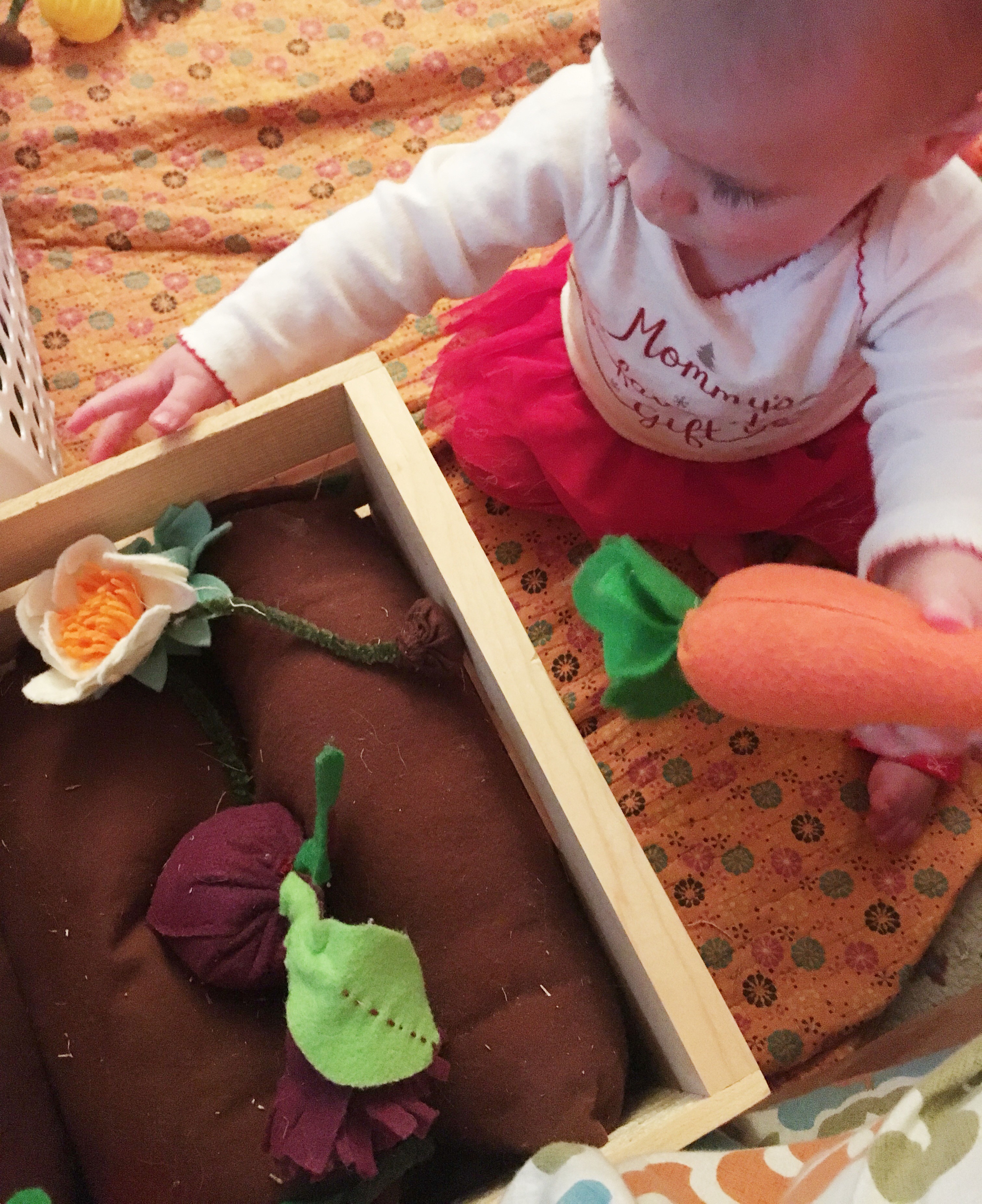 CFAED516-031D-4383-A29C-FA9E8C761039