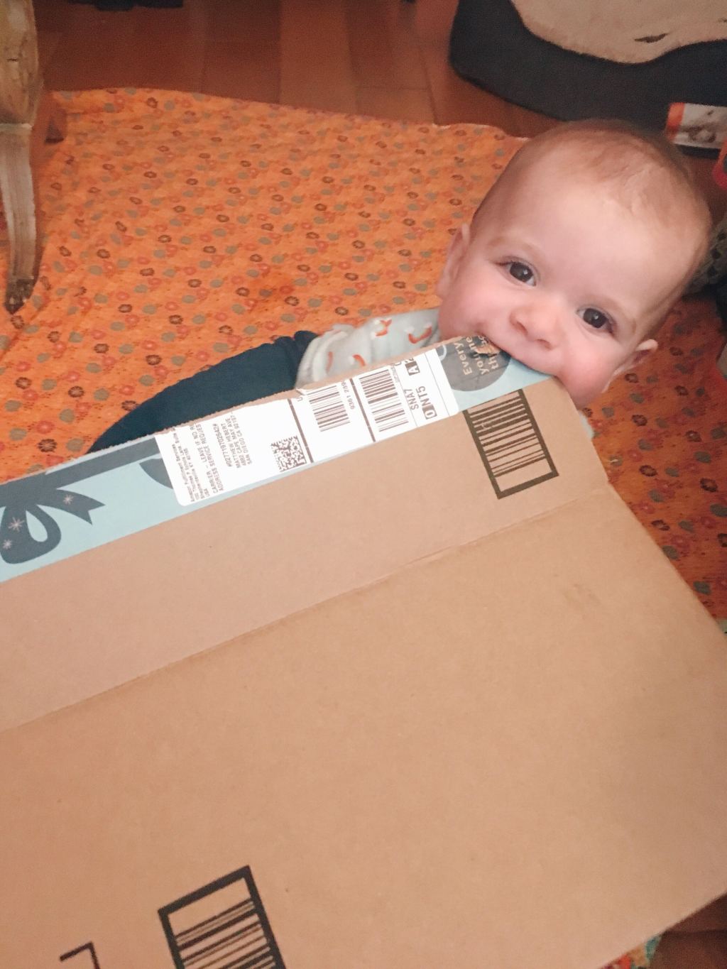 The DIY Only My Dog&nbsp;Likes