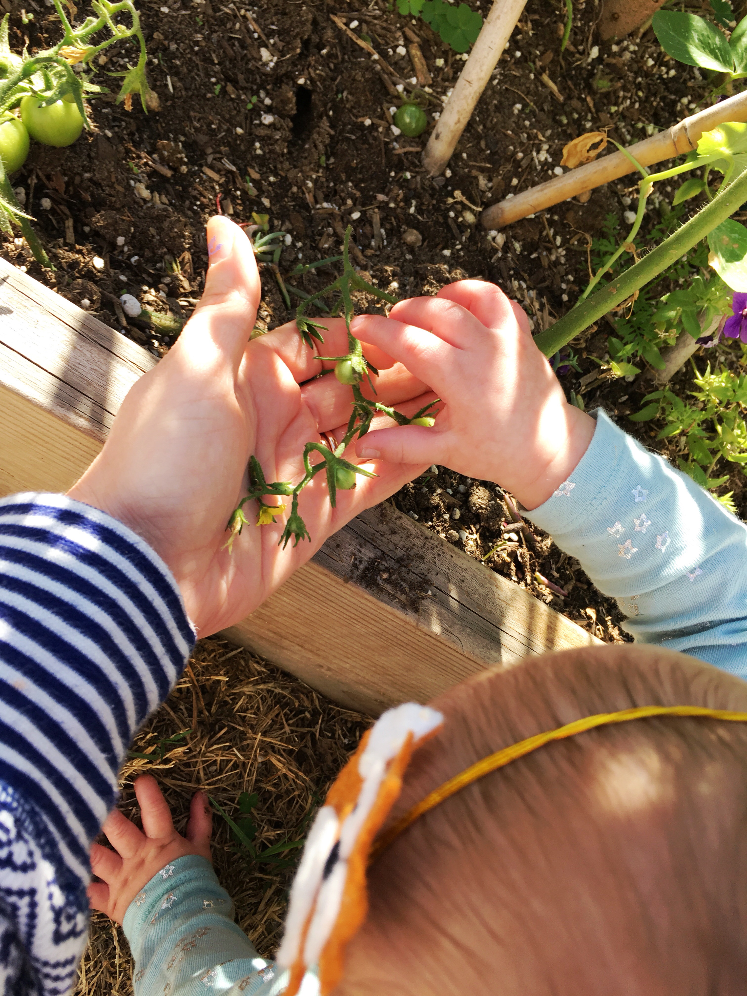 16f16c6e-291e-4e61-865e-d26581bf8718