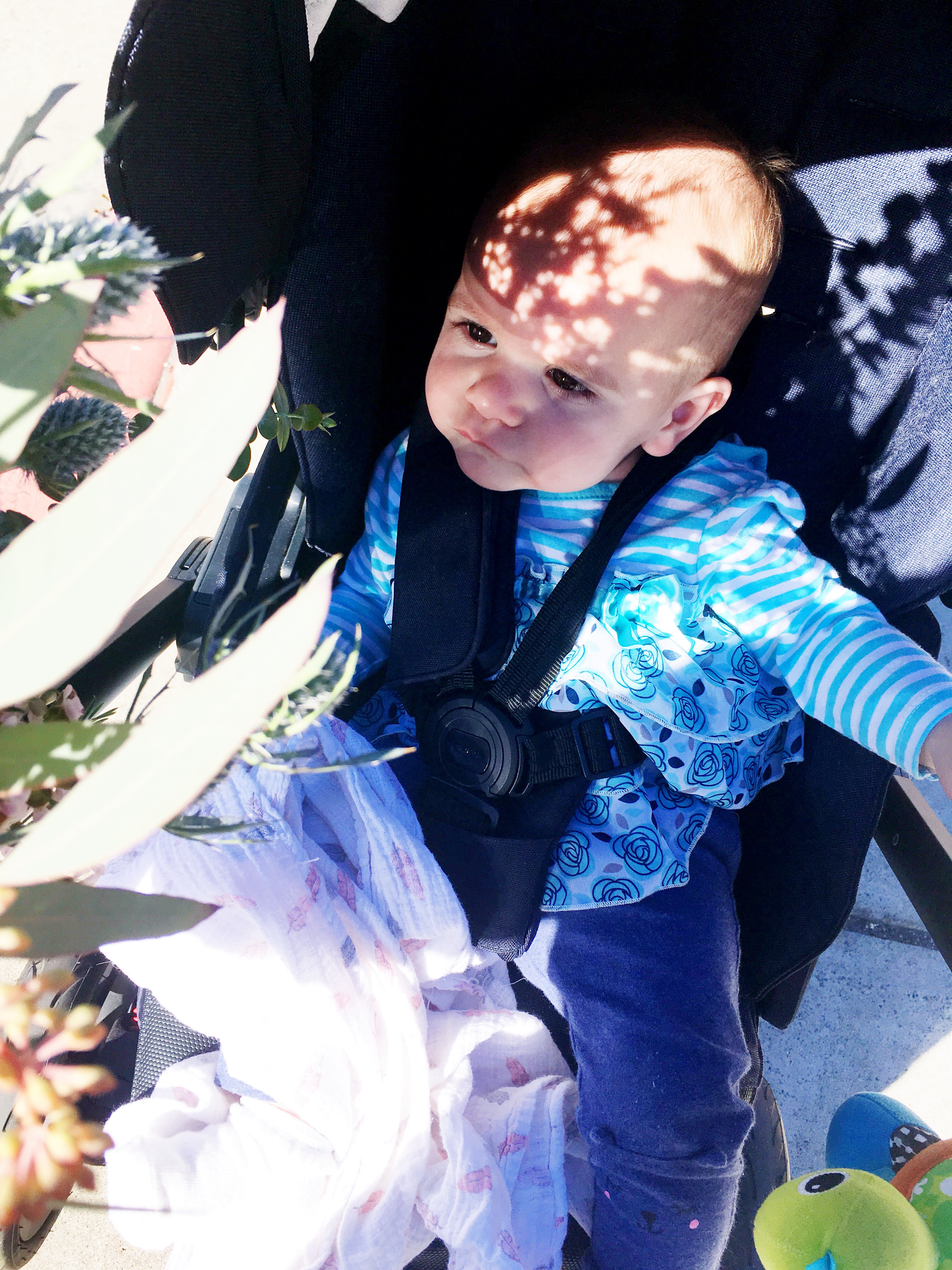 1b1de54b-be96-4a94-bc21-2cd027872fbd