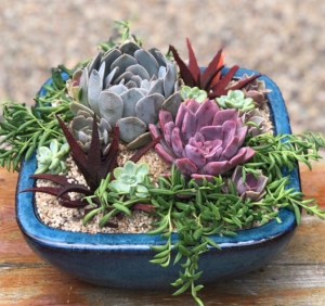 DC390CF4-31DC-429C-8862-C27E5BDD5B28