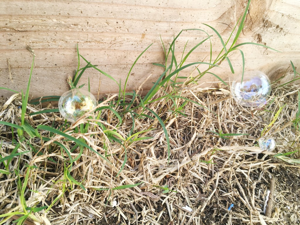 Images Of A Recovery&nbsp;Day