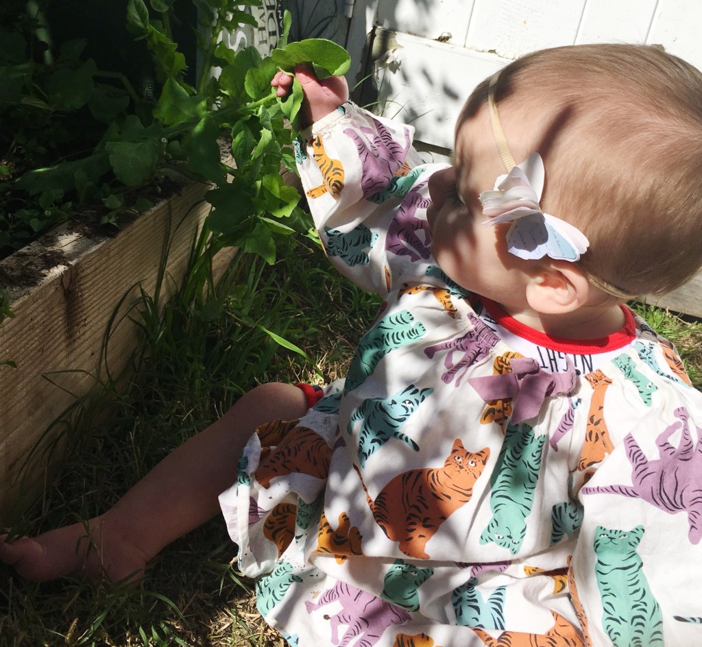 DIY Love Note&nbsp;Butterfly