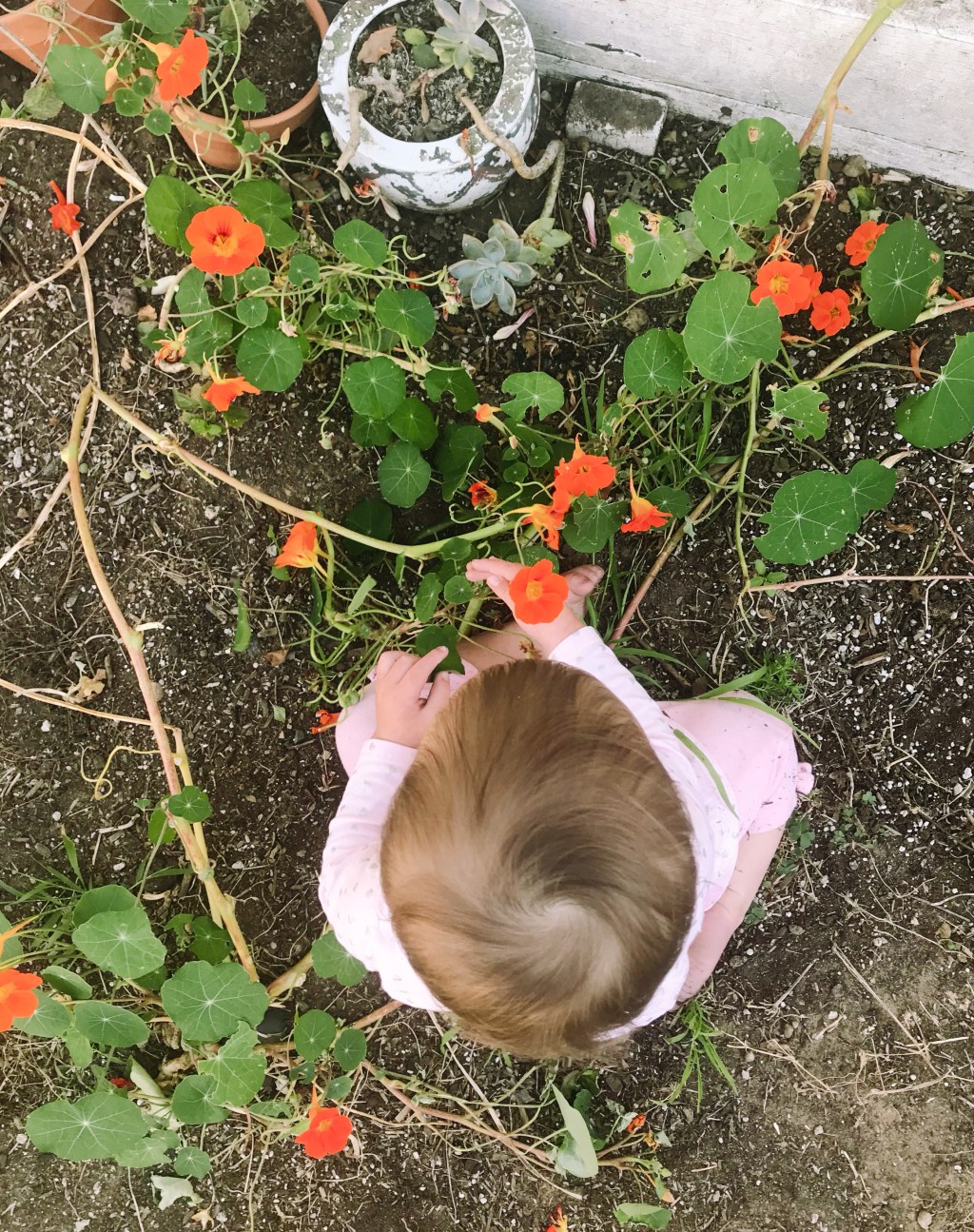 Bipolar Disorder For Beginners