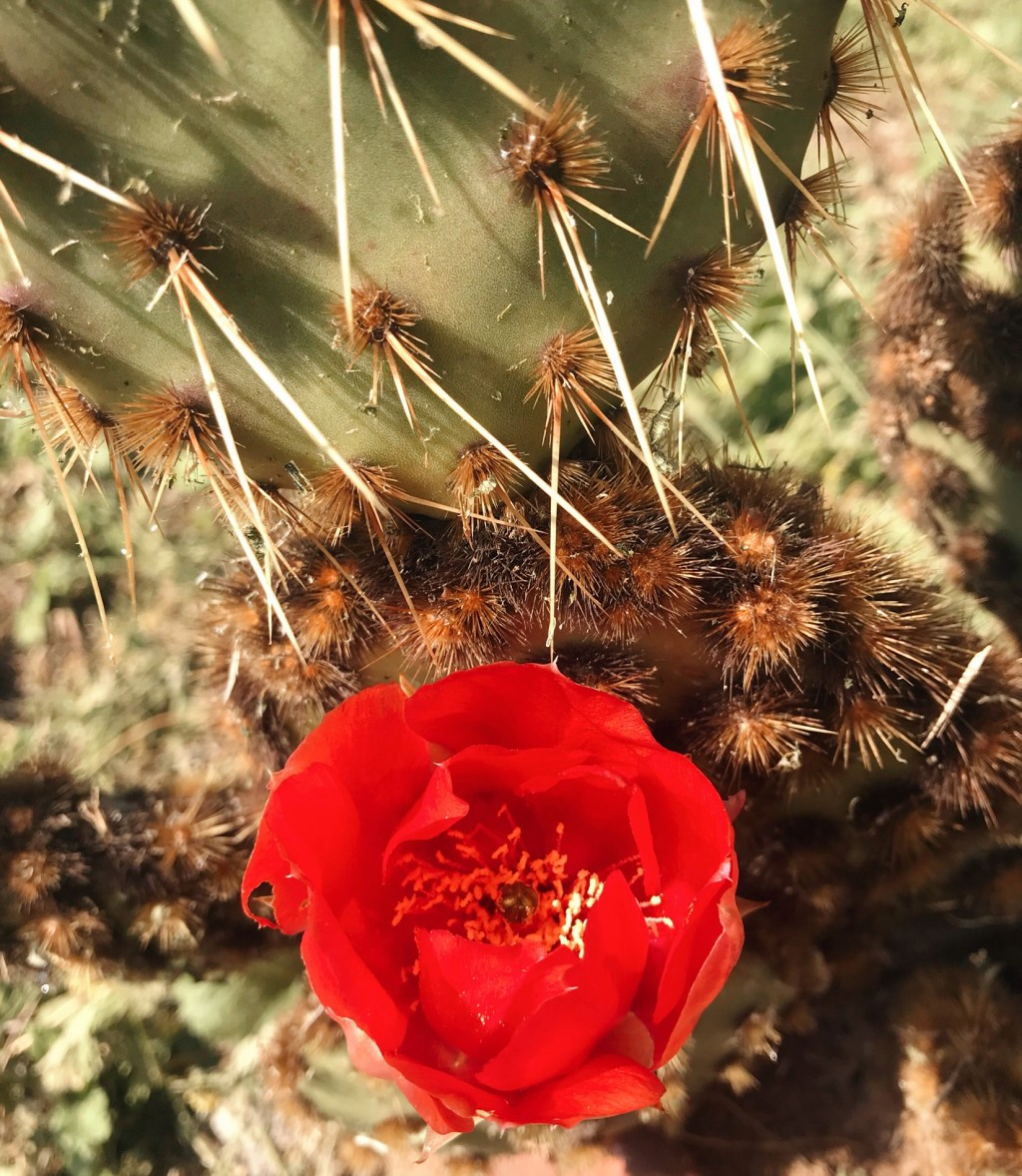 Monday List Poem&nbsp;Prompt