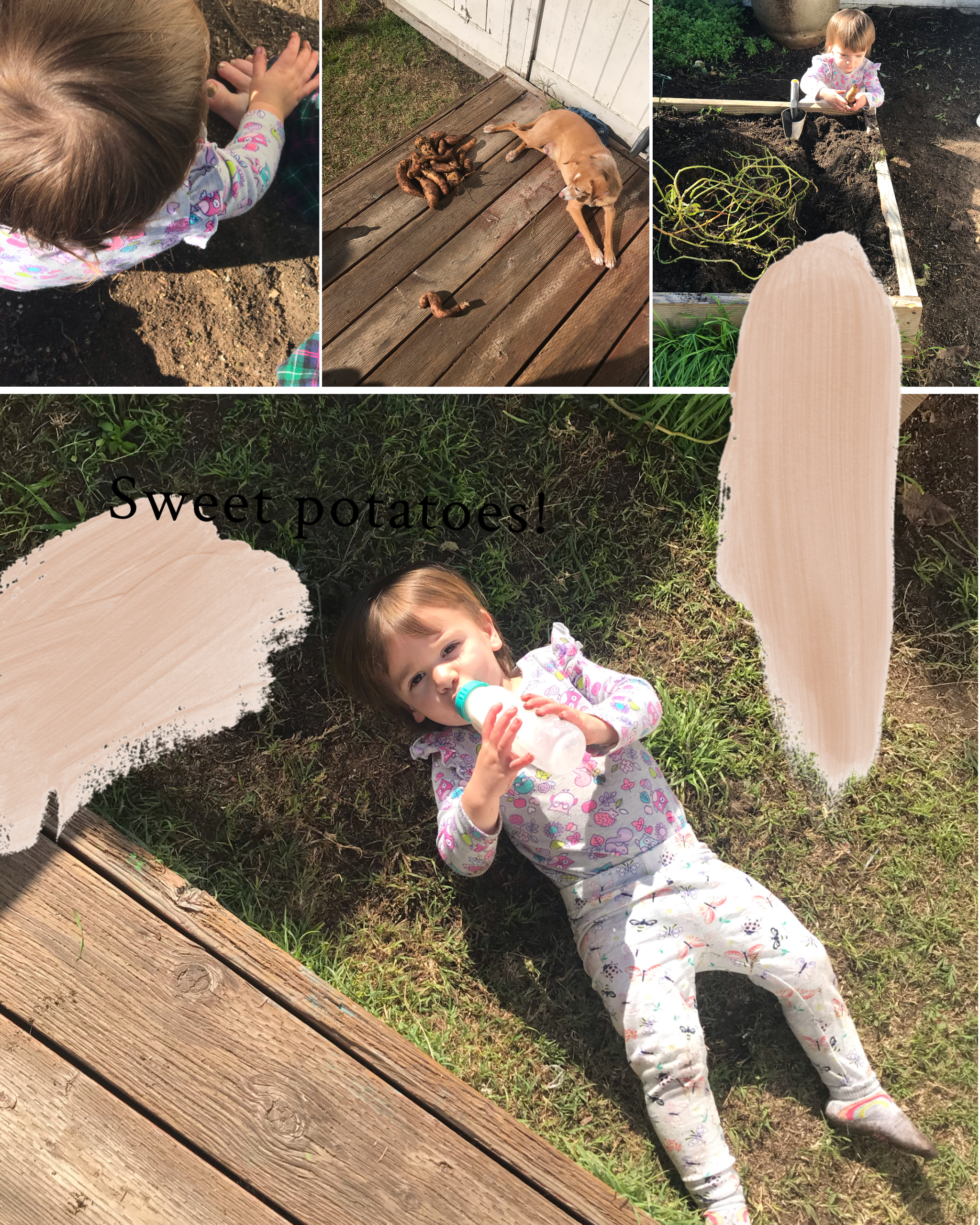 F5EDAD16-3FAD-4C86-A4EF-207EB446F065