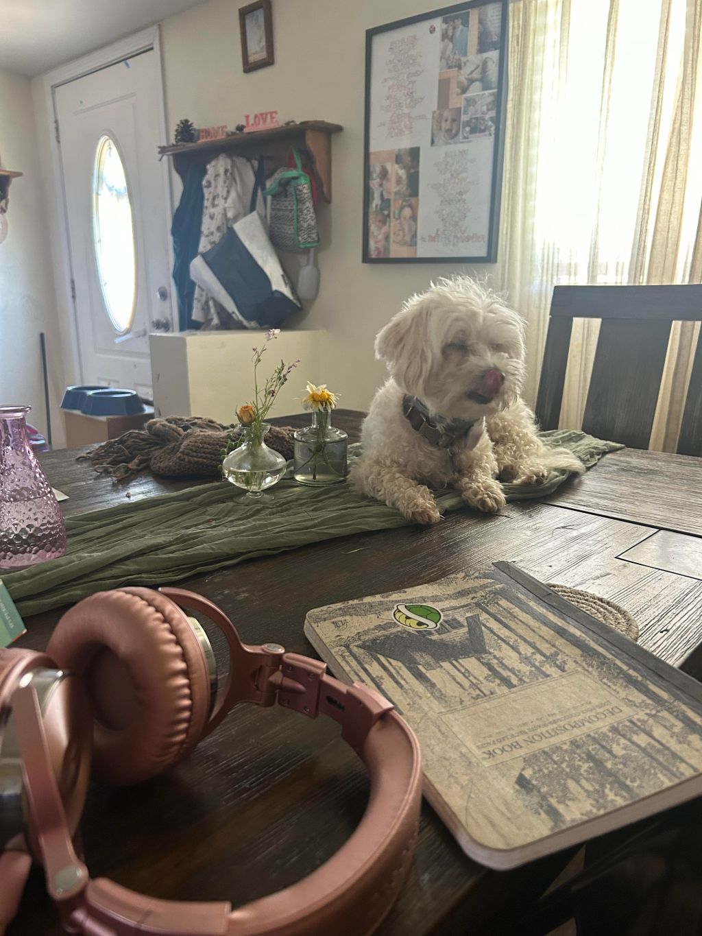 The Government Breaks Up With&nbsp;Me